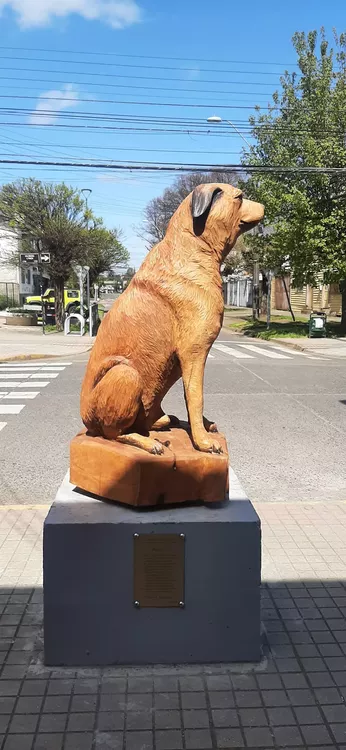 311318345_5558485027599722_3792686196769109857_n