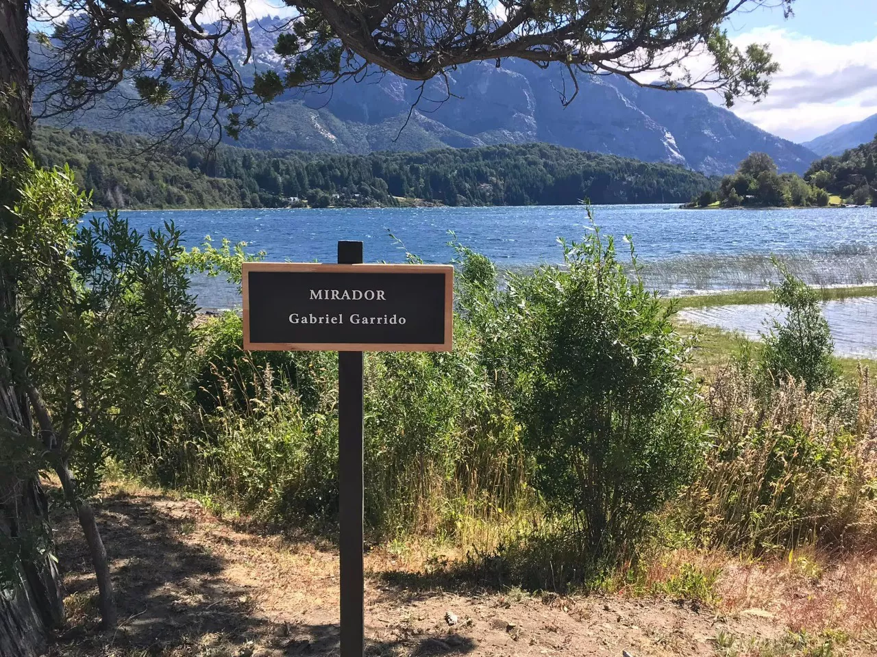 23604d20-fa7d-4636-8268-99ea1bb46902