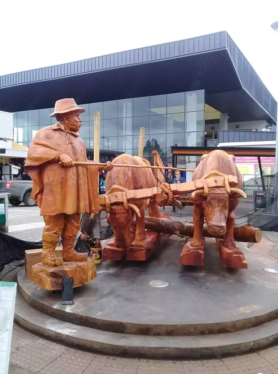 44874549_1976441819137412_1723388977941053440_n