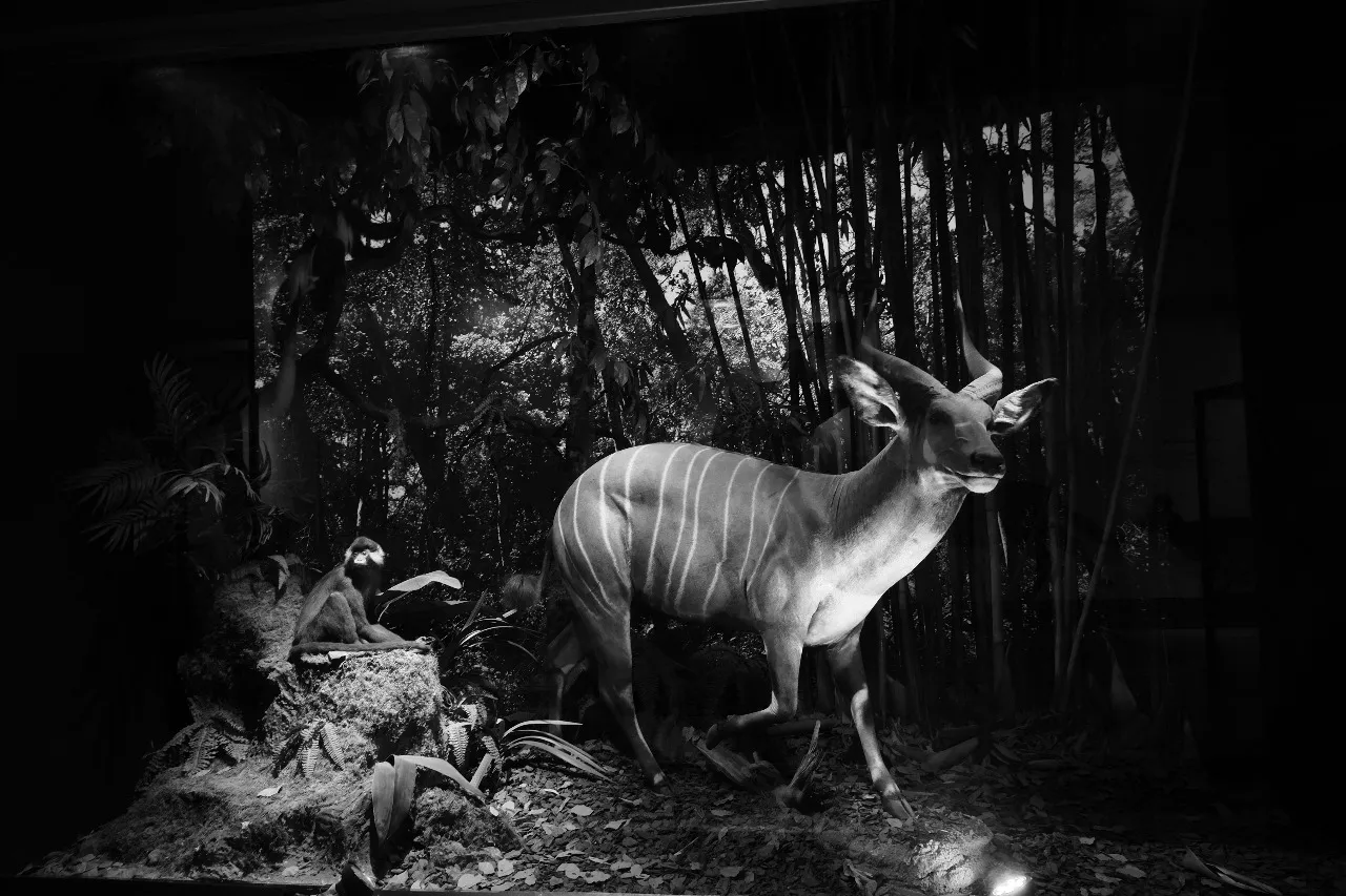 fa874be7-3c26-4720-bb1f-a2fb5c55acd1