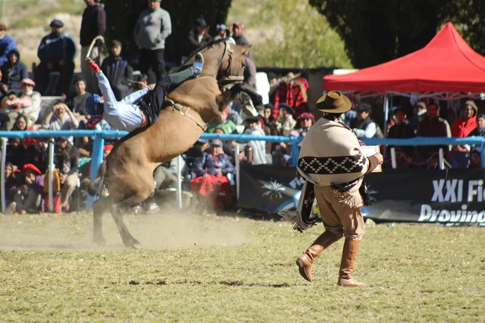 929010a6-2e33-450c-8113-7a4da32d8d10